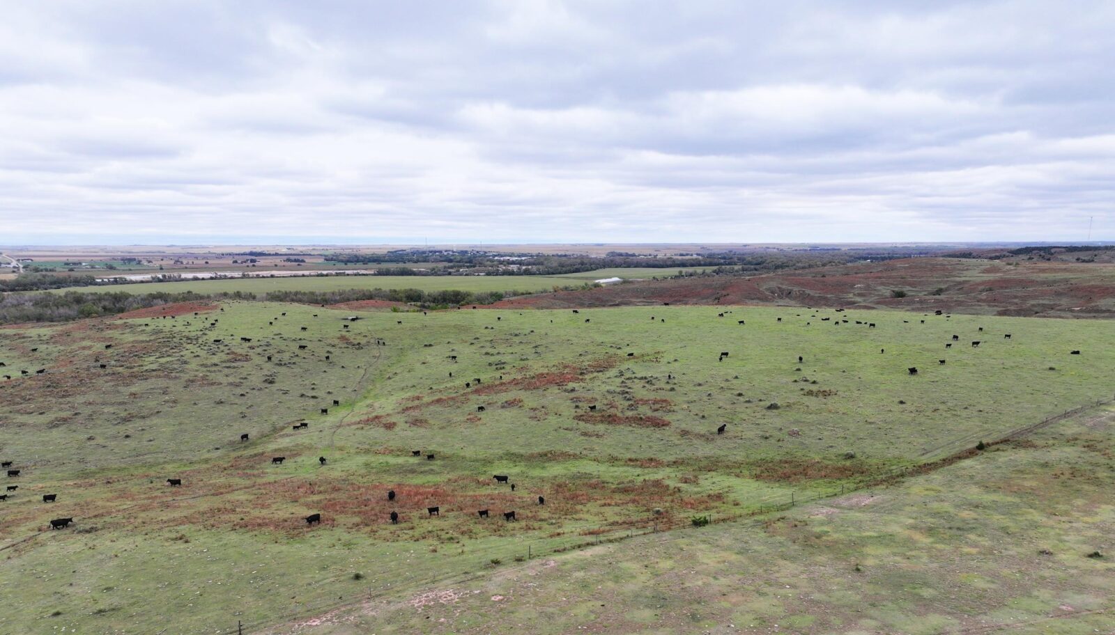 Indianola Red Willow County Land For Sale