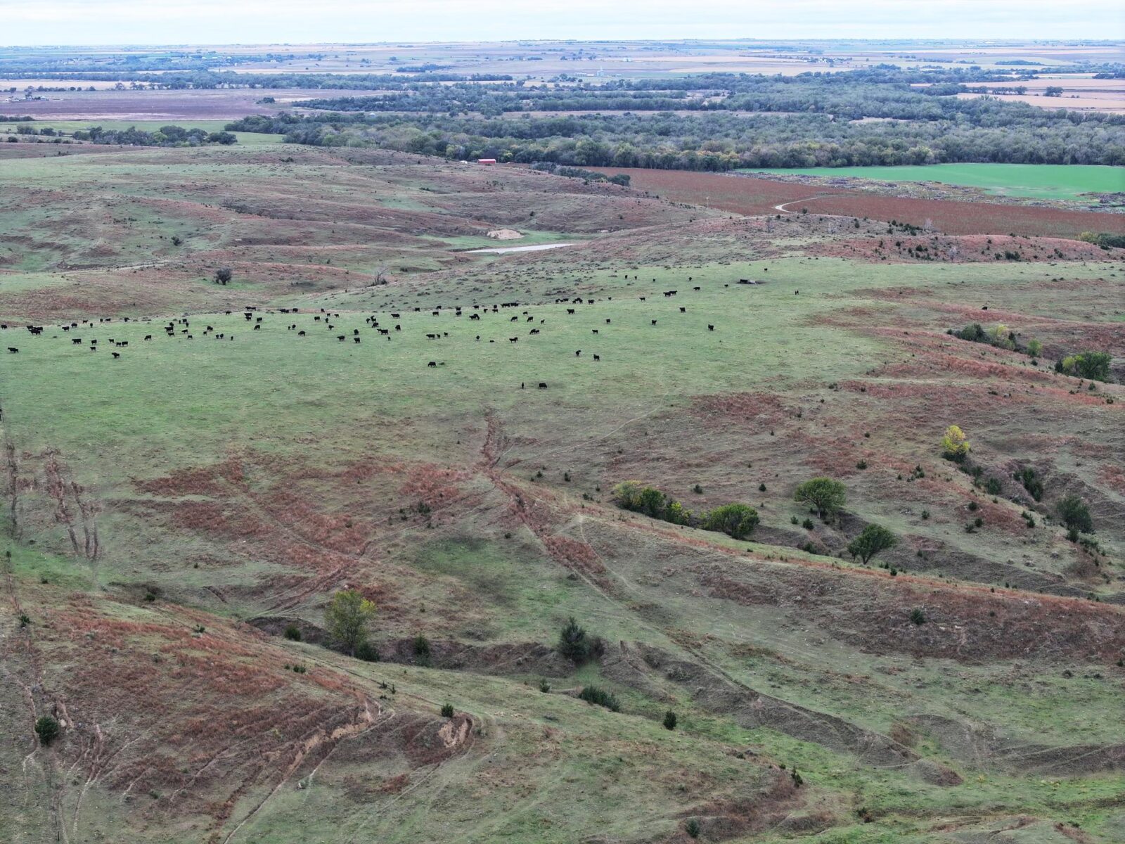 Indianola Red Willow County Land For Sale