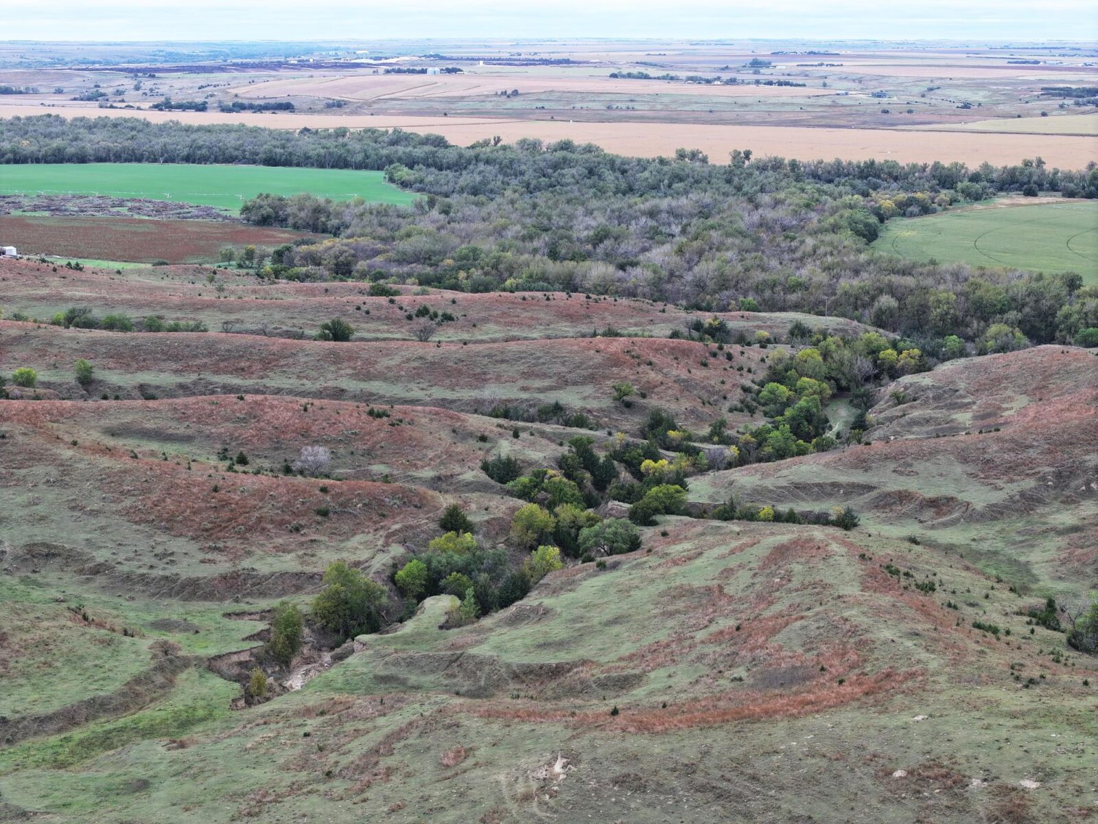Indianola Red Willow County Land For Sale