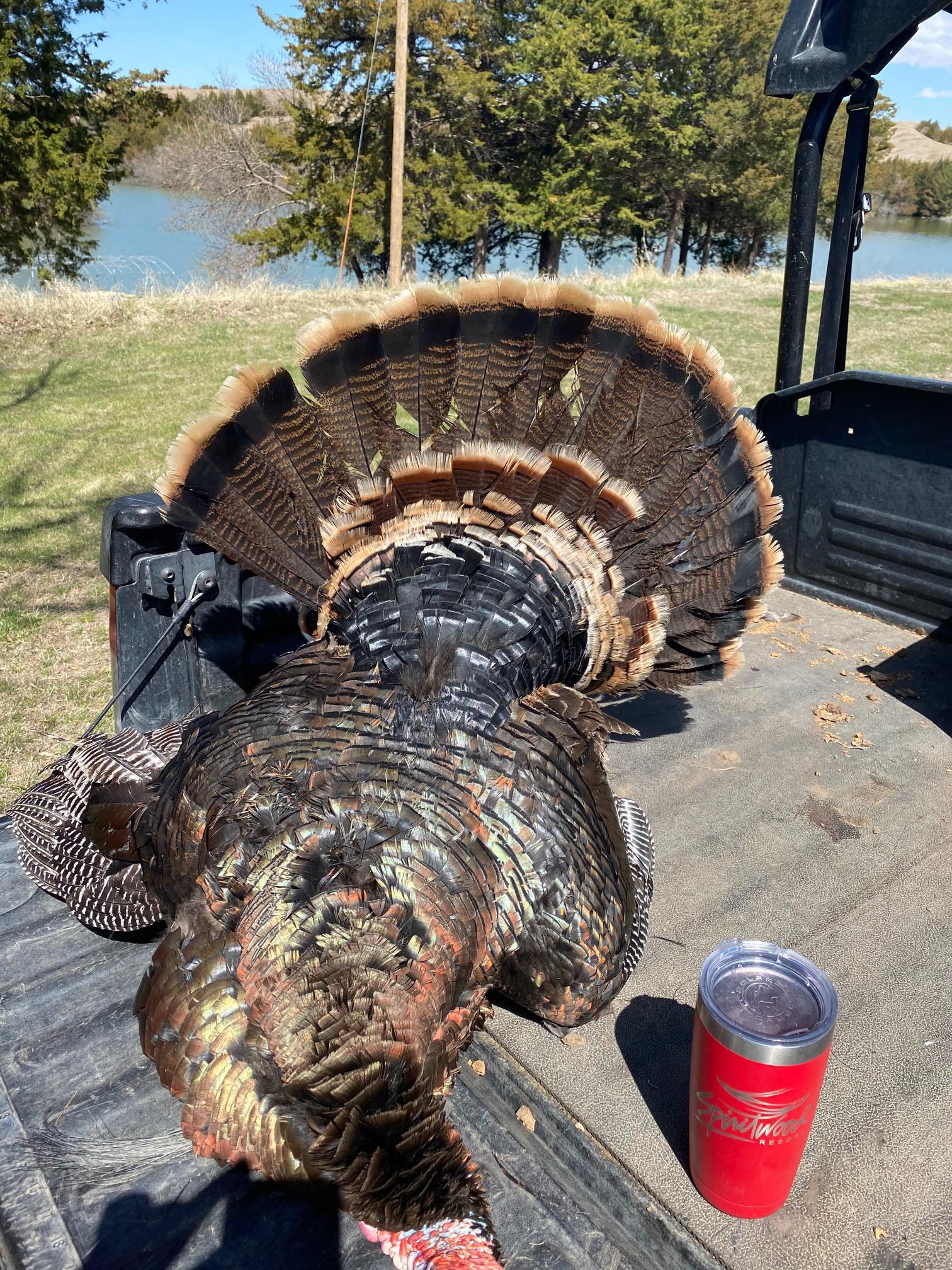 6 Acres, Lincoln County, Jeffrey Lake Paradise