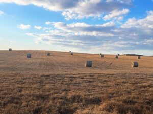 Dundy County Nebraska pivot irrigated farm land for sale