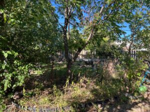 418 Belle Fourche Ave, Chadron, NE home for sale