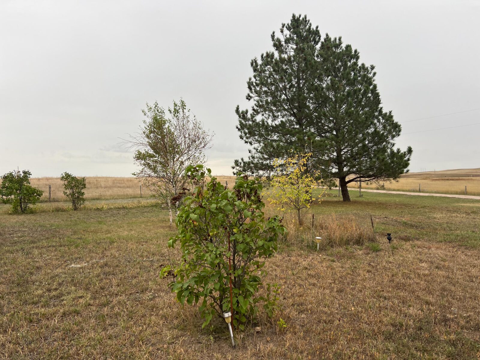 6463 240th Lane, Gordon, Nebraska acreage home for sale