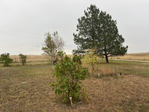 6463 240th Lane, Gordon, Nebraska acreage home for sale