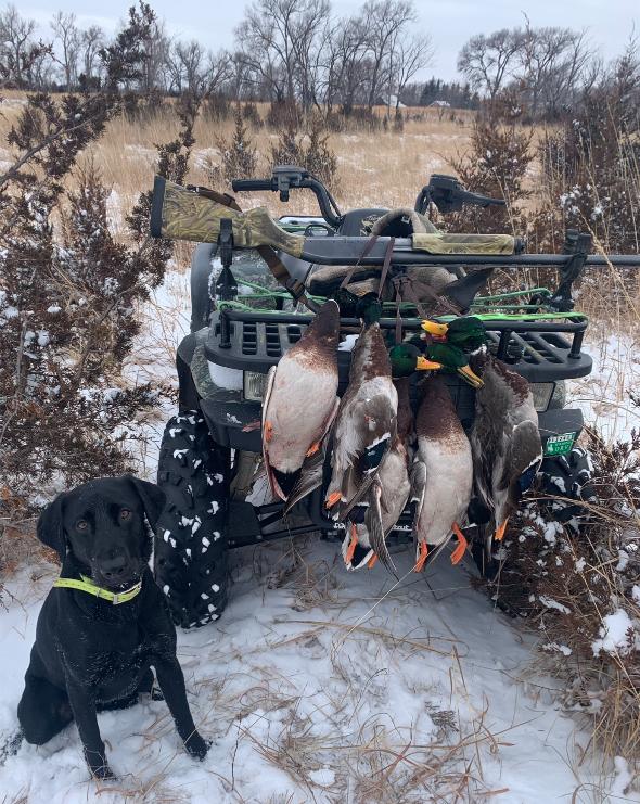 Sarben Nebraska hunting land for sale north platte river