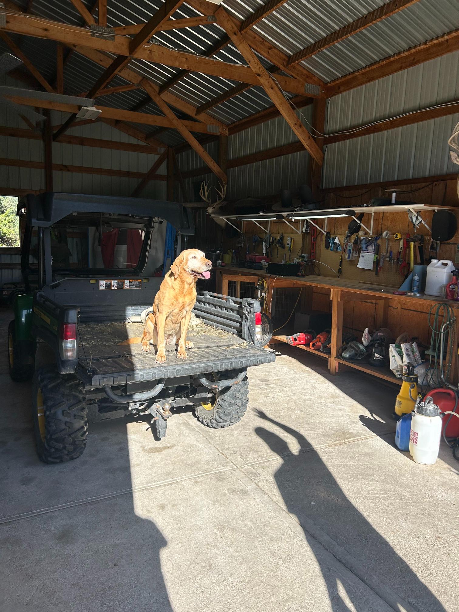 6 Acres, Lincoln County, Jeffrey Lake Paradise