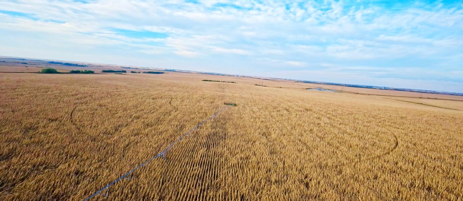 Farm for sale Clay County, NE