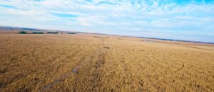 Farm for sale Clay County, NE