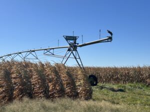 633 Acres, Brown County – Buffalo Flats Irrigated Farm and Wildlife 633