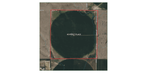 550 Acres, Hollibaugh Farms Absolute Auction