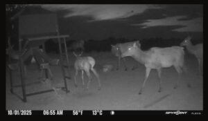 Elk hunting property for sale Custer County, Nebraska
