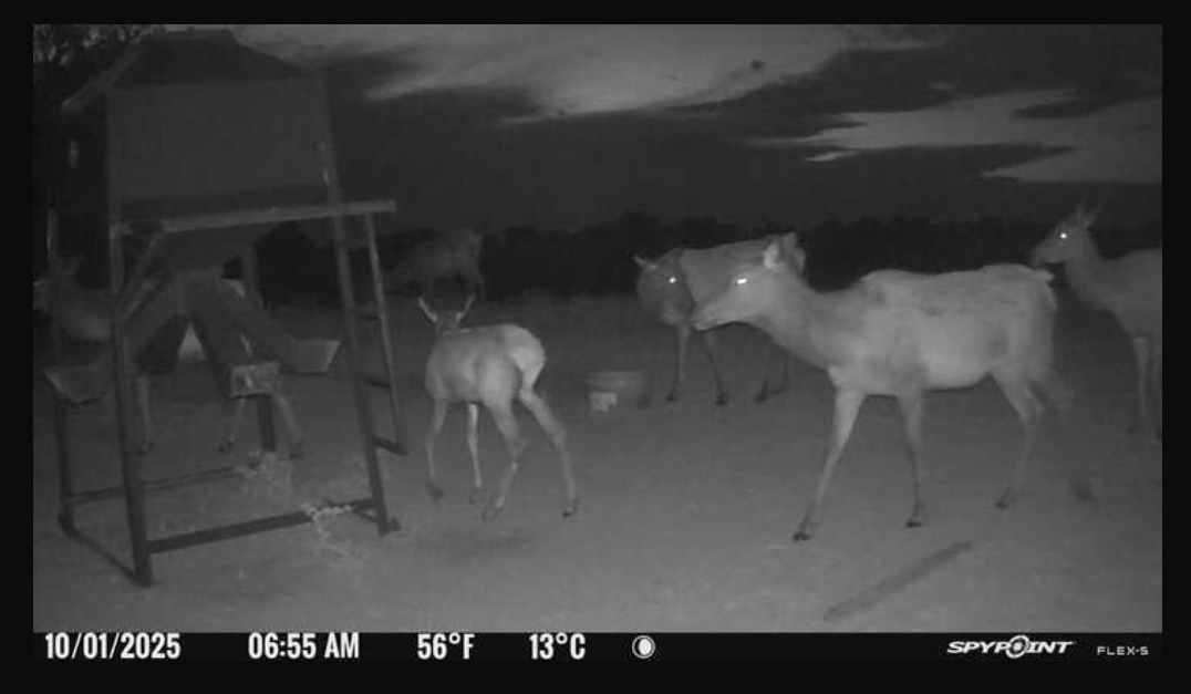 Elk hunting property for sale Custer County, Nebraska