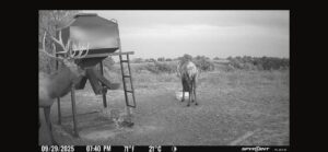 Elk hunting property for sale Custer County, Nebraska