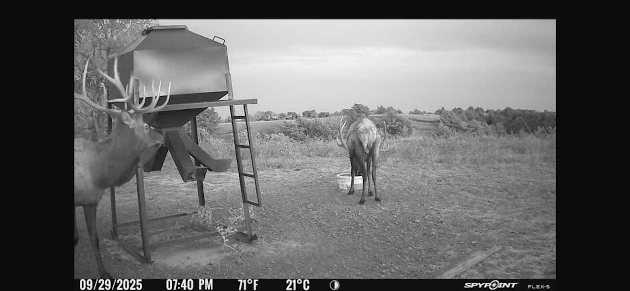 Elk hunting property for sale Custer County, Nebraska
