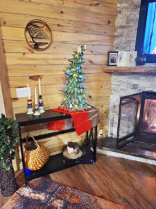 Wellfleet, Nebraska home and acreage for sale country living