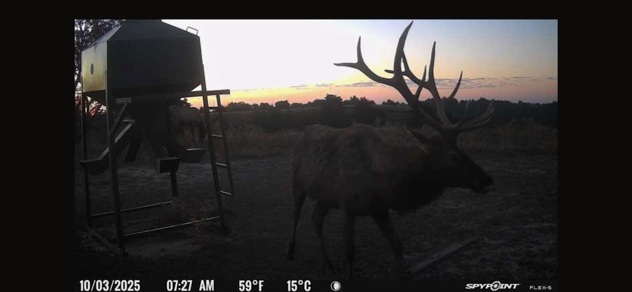 Elk hunting property for sale Custer County, Nebraska