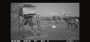 Elk hunting property for sale Custer County, Nebraska