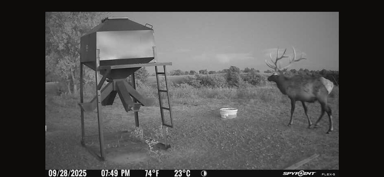 Elk hunting property for sale Custer County, Nebraska