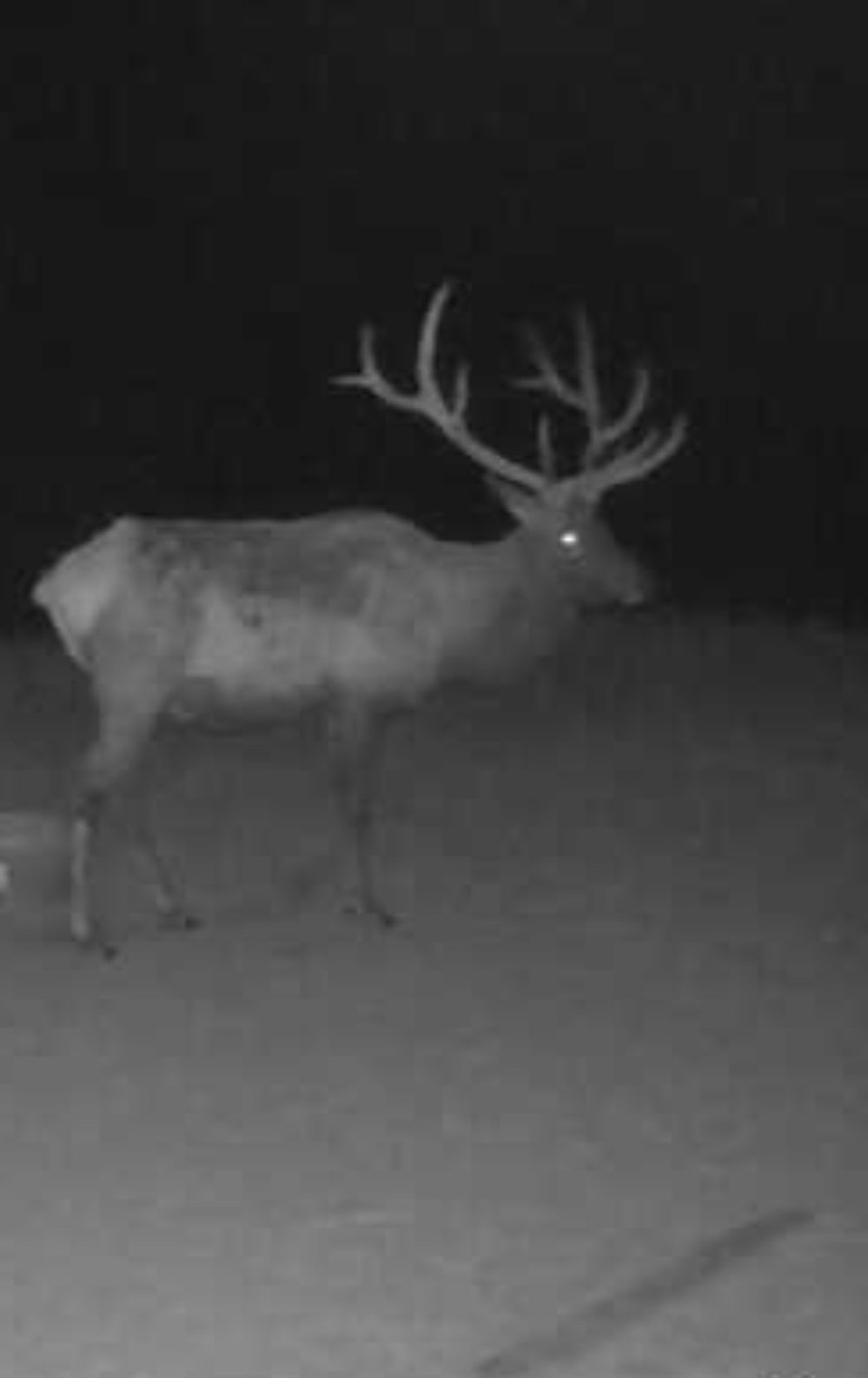 Elk hunting property for sale Custer County, Nebraska