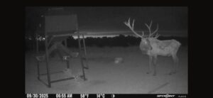 Elk hunting property for sale Custer County, Nebraska