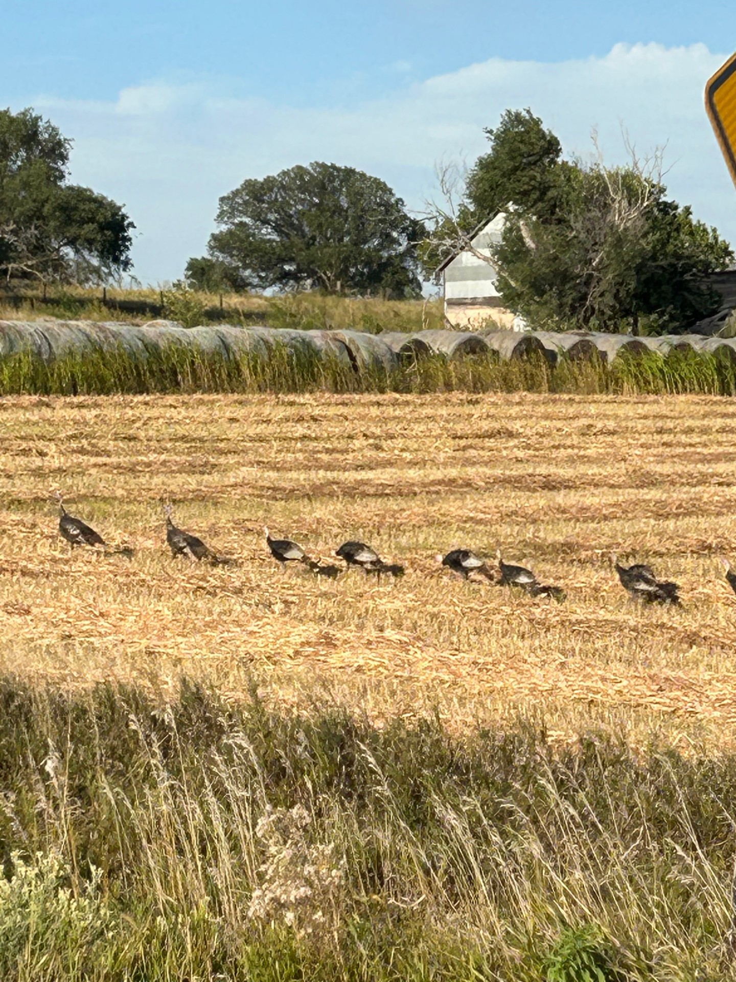 Dawson County Nebraska land for sale auction