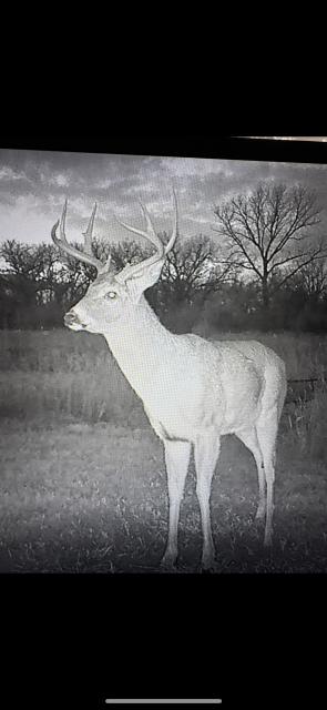 Sarben Nebraska hunting land for sale north platte river