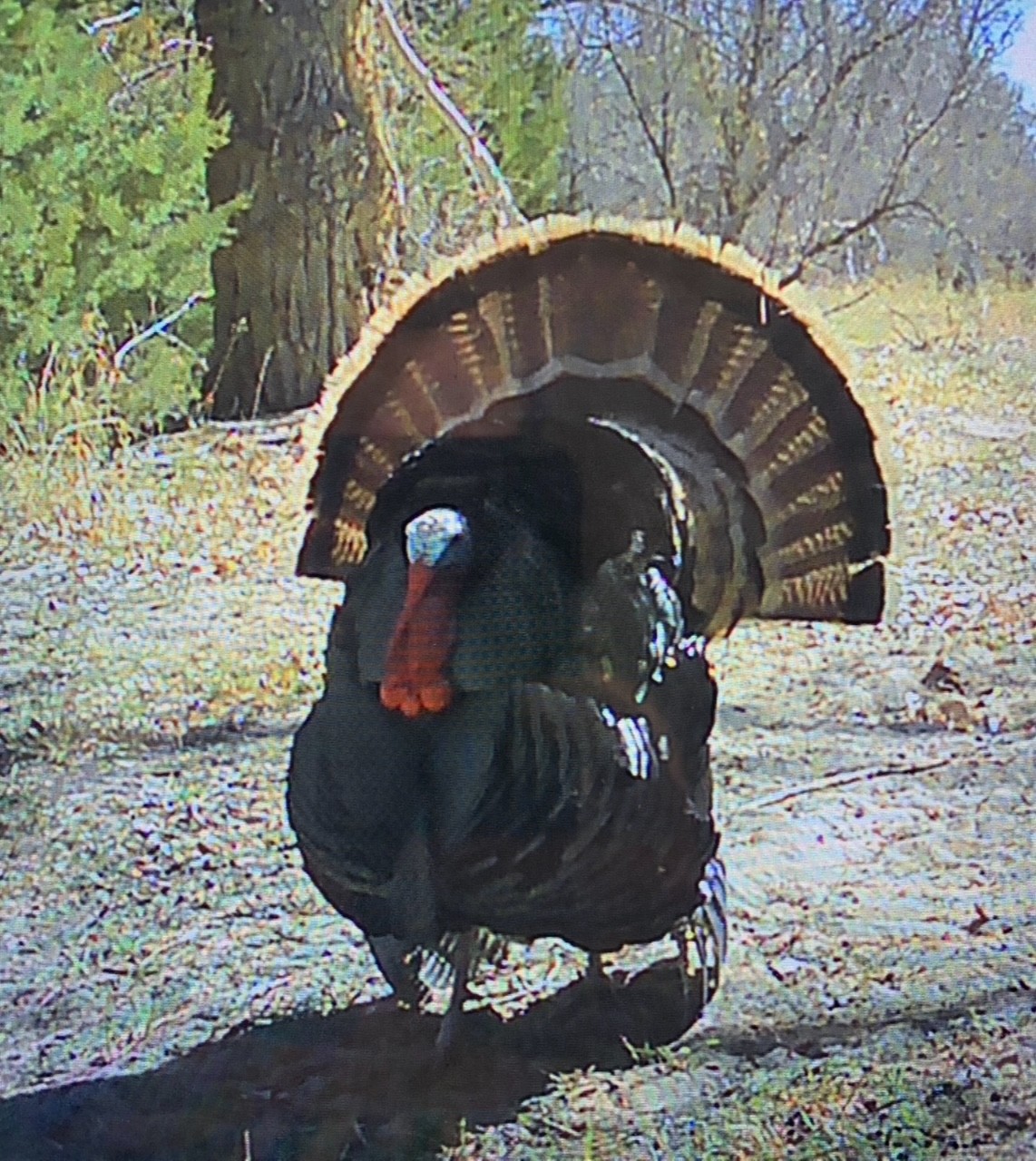 Sarben Nebraska hunting land for sale north platte river
