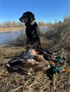 Sarben Nebraska hunting land for sale north platte river