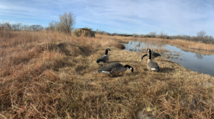 Sarben nebraska waterfowl hunting land for sale