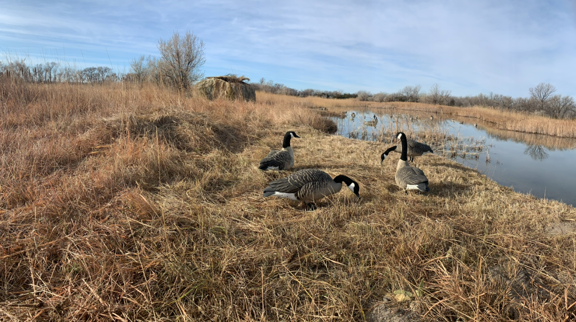 Sarben nebraska waterfowl hunting land for sale