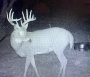 Sarben Nebraska hunting land for sale north platte river