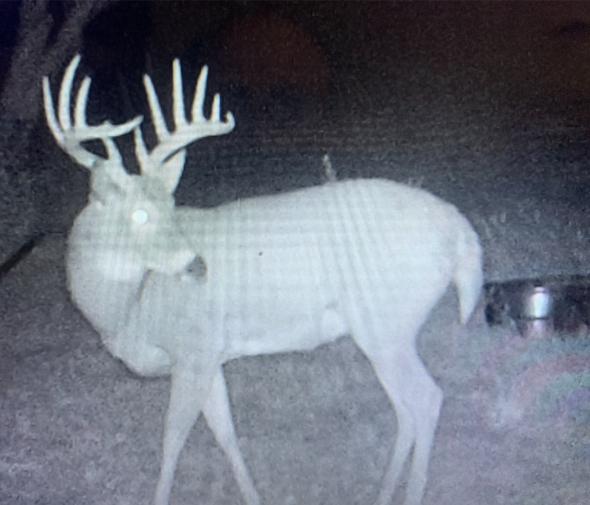 Sarben Nebraska hunting land for sale north platte river