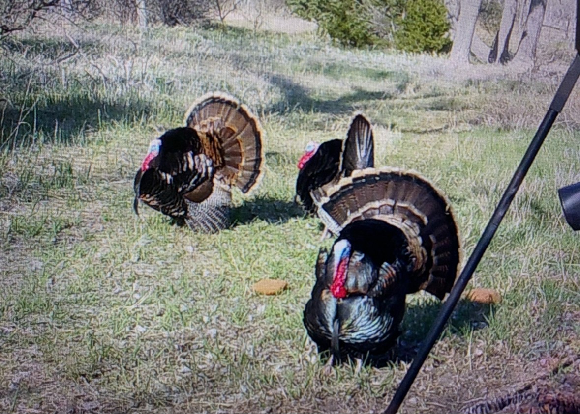 60 Acres, Keith County, Sarben Honey Hole