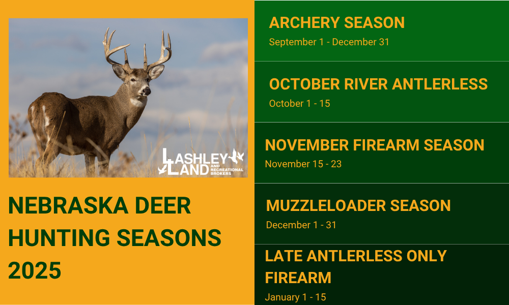 Nebraska Deer Hunting Guide: Seasons, Land Access, and Expert Local Tips