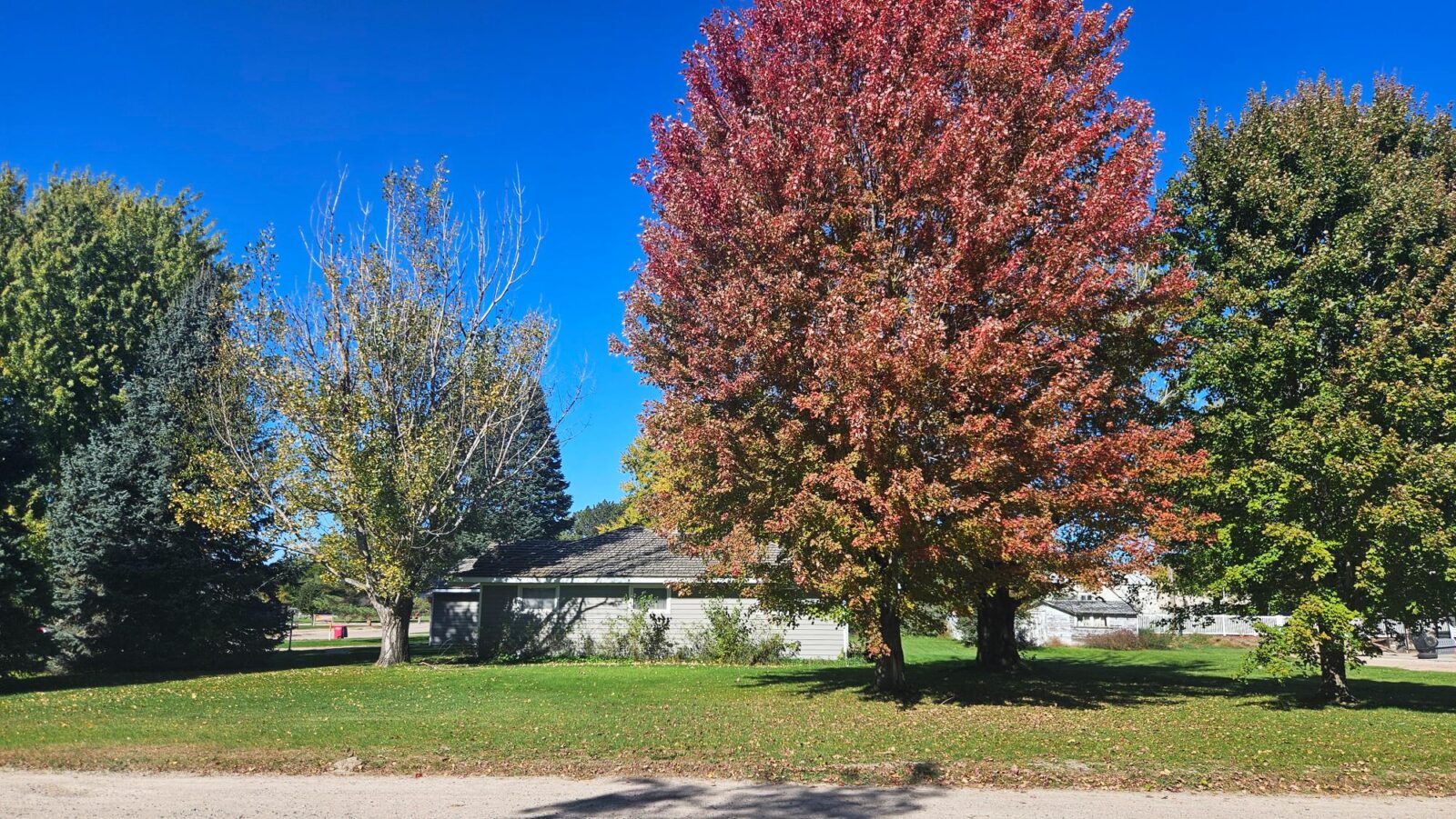 207 West State St.. Brady, NE Home for sale