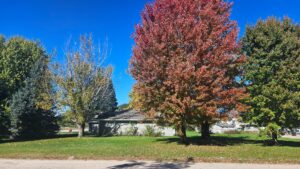 207 West State St.. Brady, NE Home for sale