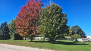 207 West State St.. Brady, NE Home for sale