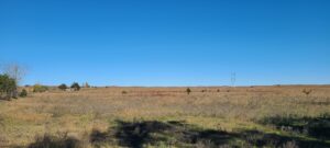 Brady Acreage Lots-Northwest Lot