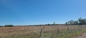 Brady Acreage Lots-Northwest Lot