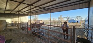 1311  South St, Sutherland, NE