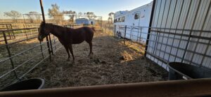 1311  South St, Sutherland, NE