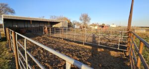 1311  South St, Sutherland, NE