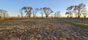 1311  South St, Sutherland, NE