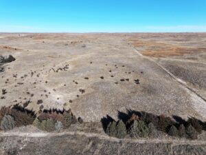 Acreage vacant lot for sale brady, nebraska