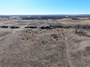 Acreage vacant lot for sale brady, nebraska