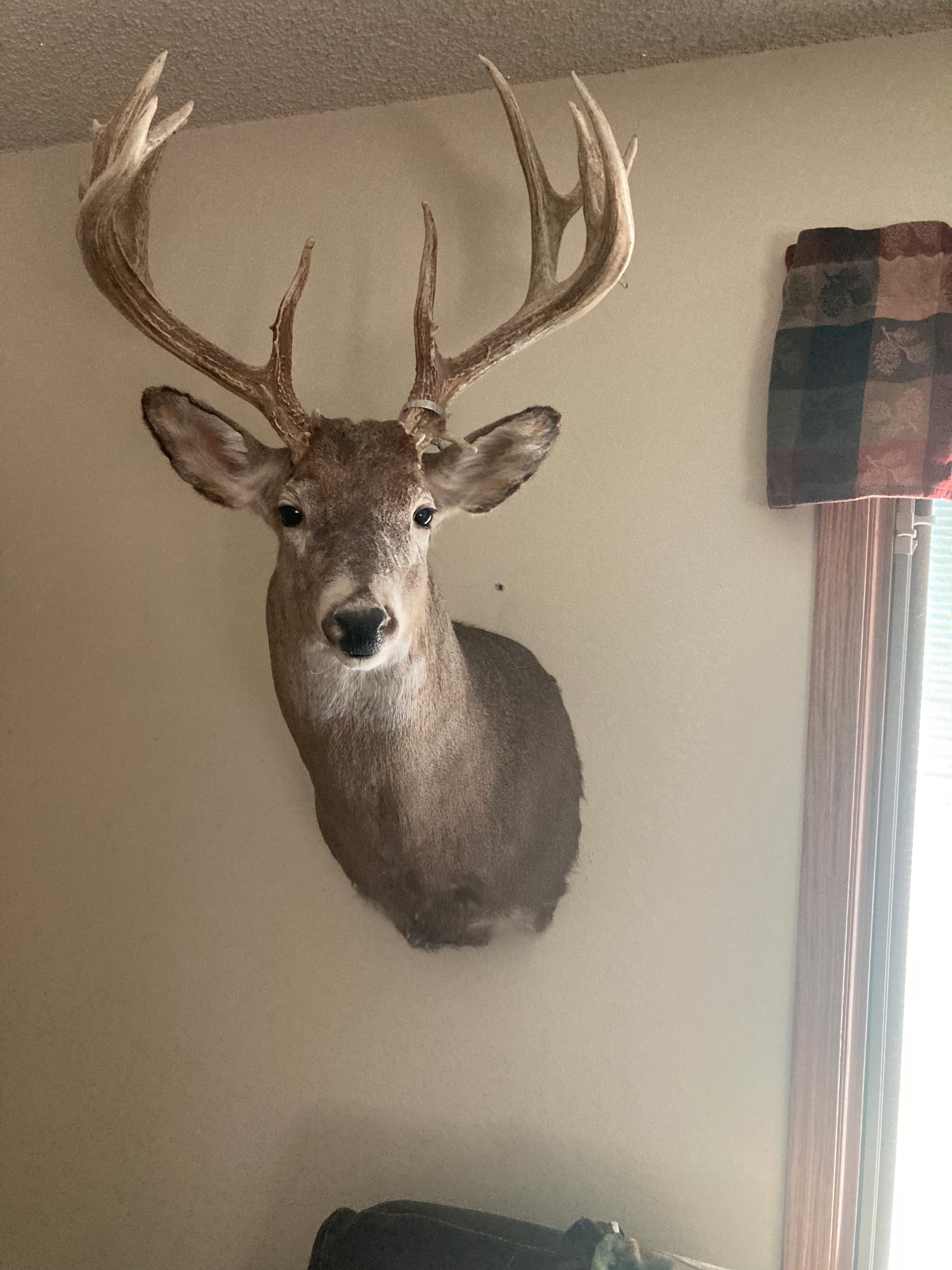 800 Acres, Eastern Lincoln County Hunting and Grazing