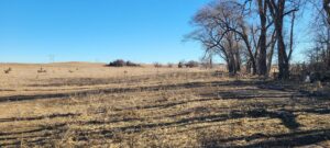 Acreage vacant lot for sale brady, nebraska