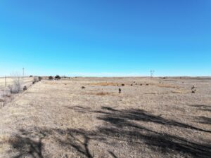 Acreage vacant lot for sale brady, nebraska