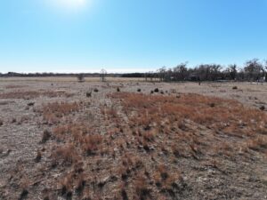 Acreage vacant lot for sale brady, nebraska