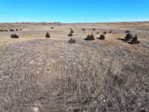 Acreage vacant lot for sale brady, nebraska